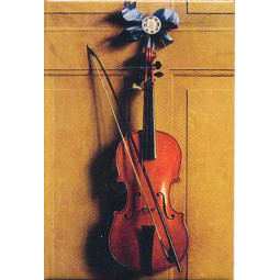 Magnet/van der Vaart Violin